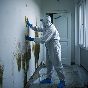 Oregon Mold Remediation